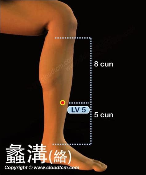 離溝穴|醫砭 » 中華針灸 » 蠡溝